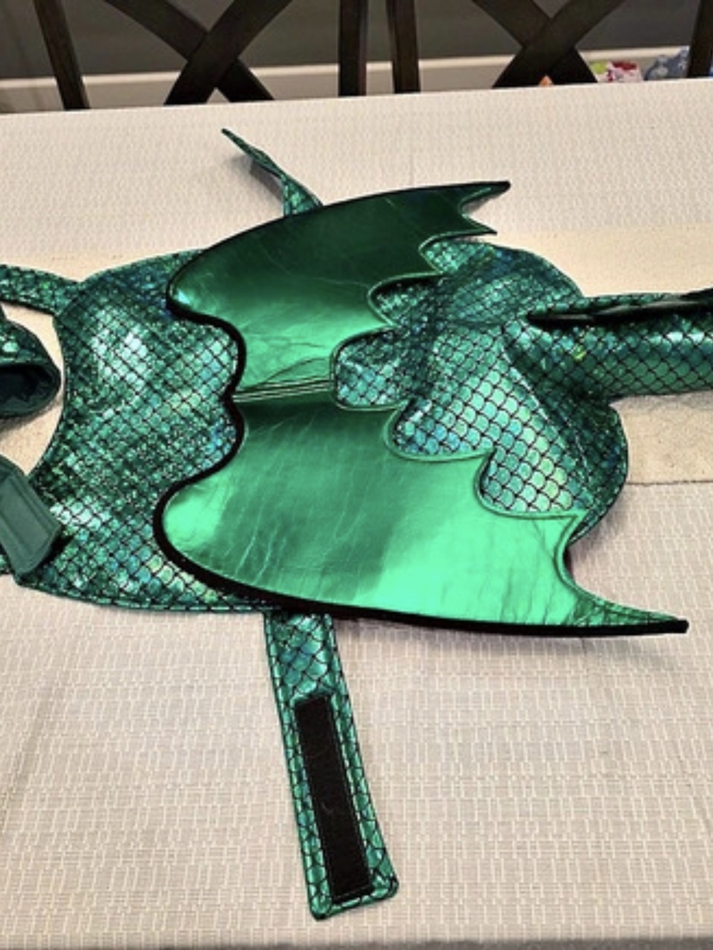 Dragon costume Green Dog Costume
